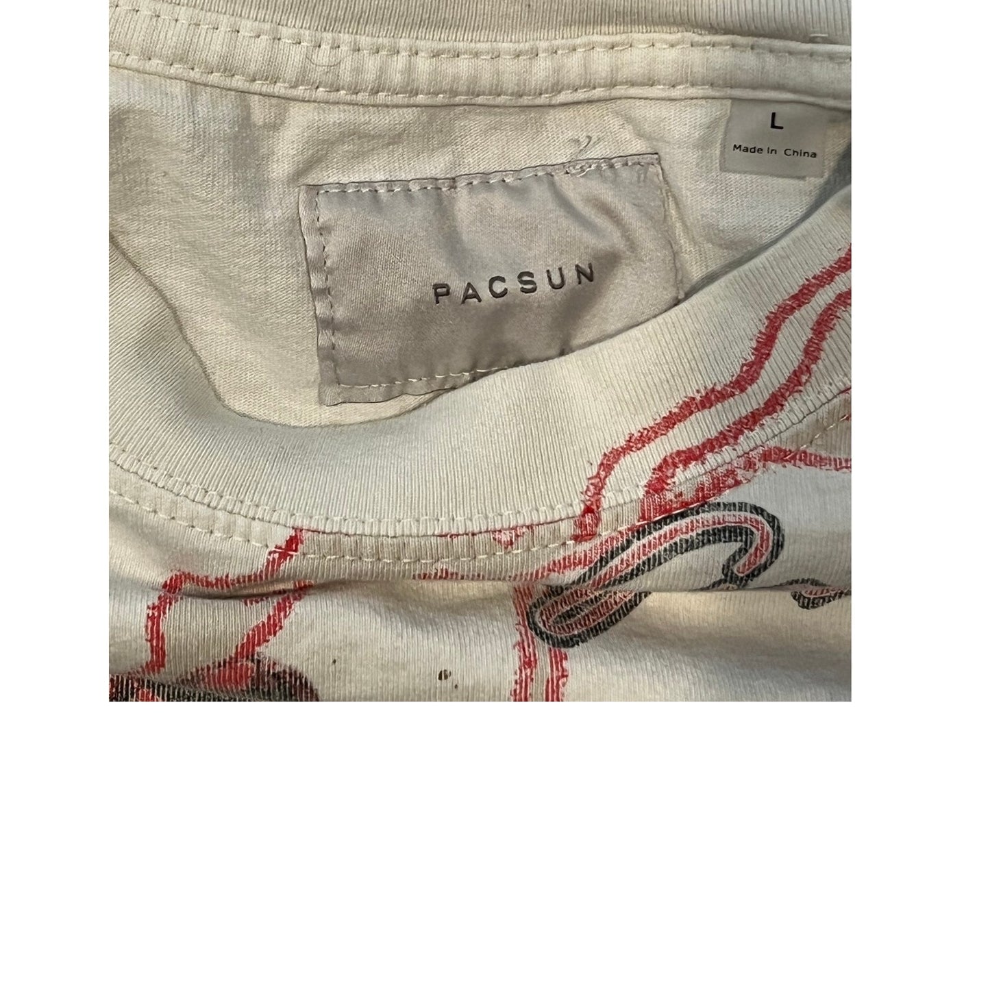 Pacsun Riding the Rail T-Shirt Mens L