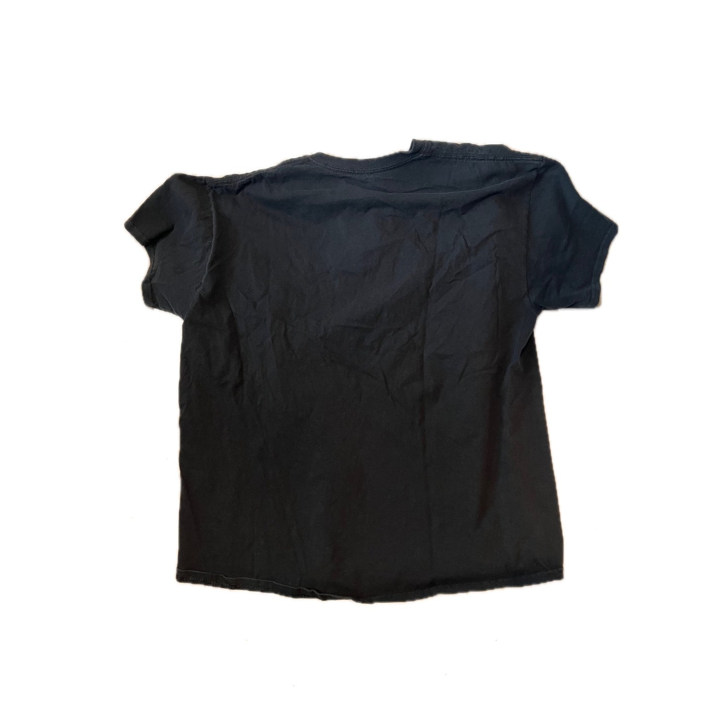 Training to Beat Goku or at Least Krillin Black T-Shirt Mens XL