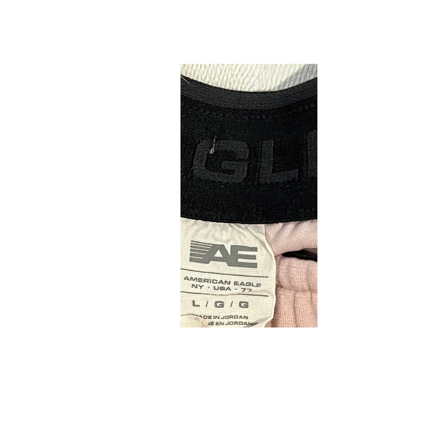 American Eagle Salmon Shorts Mens Large Inseam 7"