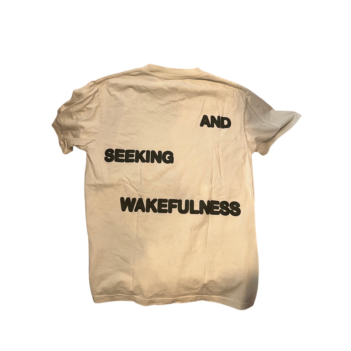Pacsun Lost In Dreams and Seeking Wakefulness T-Shirt Mens M
