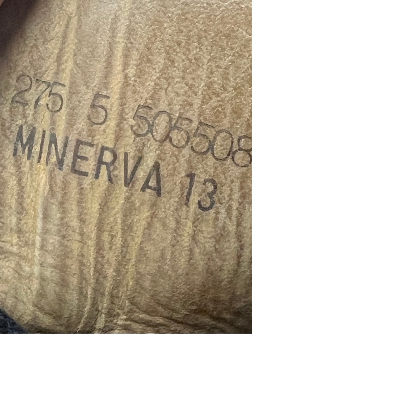 Bottes militaires Swiss Minerva 505508 pour hommes, taille 13