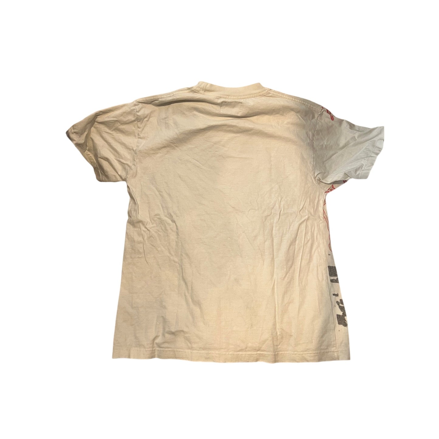 Pacsun Riding the Rail T-Shirt Mens L