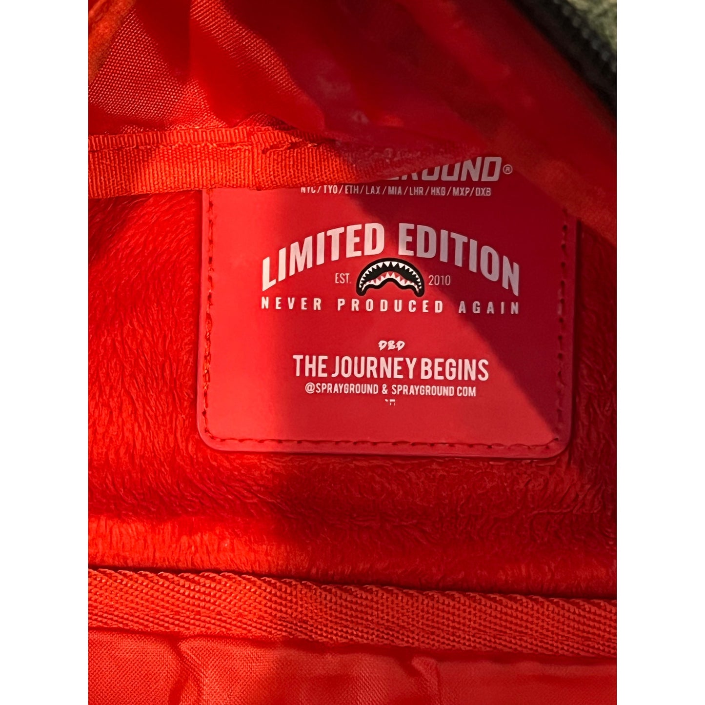 Sprayground Money Bear Dreamin' of Money Backpack