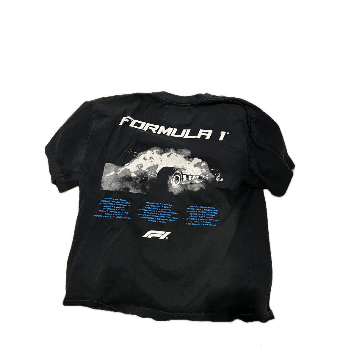 Pacsun Formula 1 Burnout T-Shirt Mens L