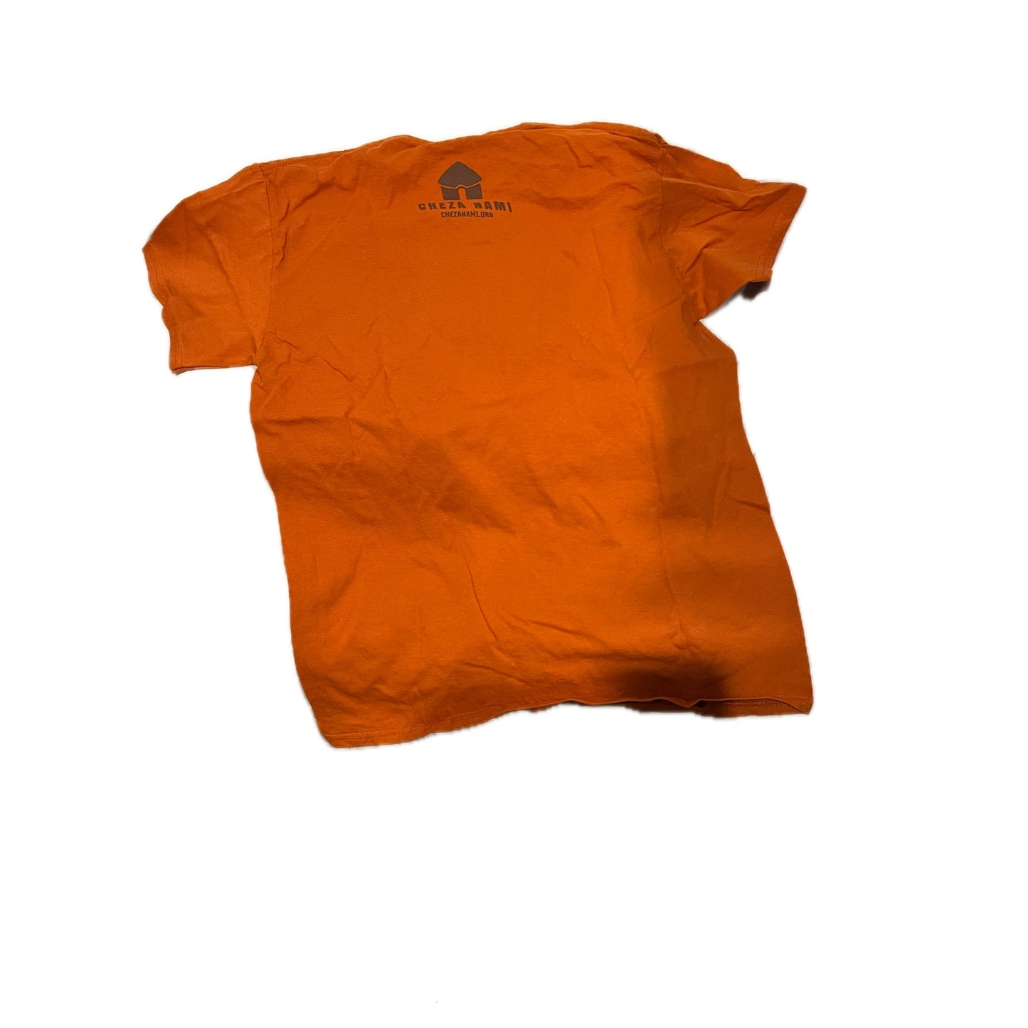 A Taste of Africa Orange Gildan T-Shirt Mens Medium