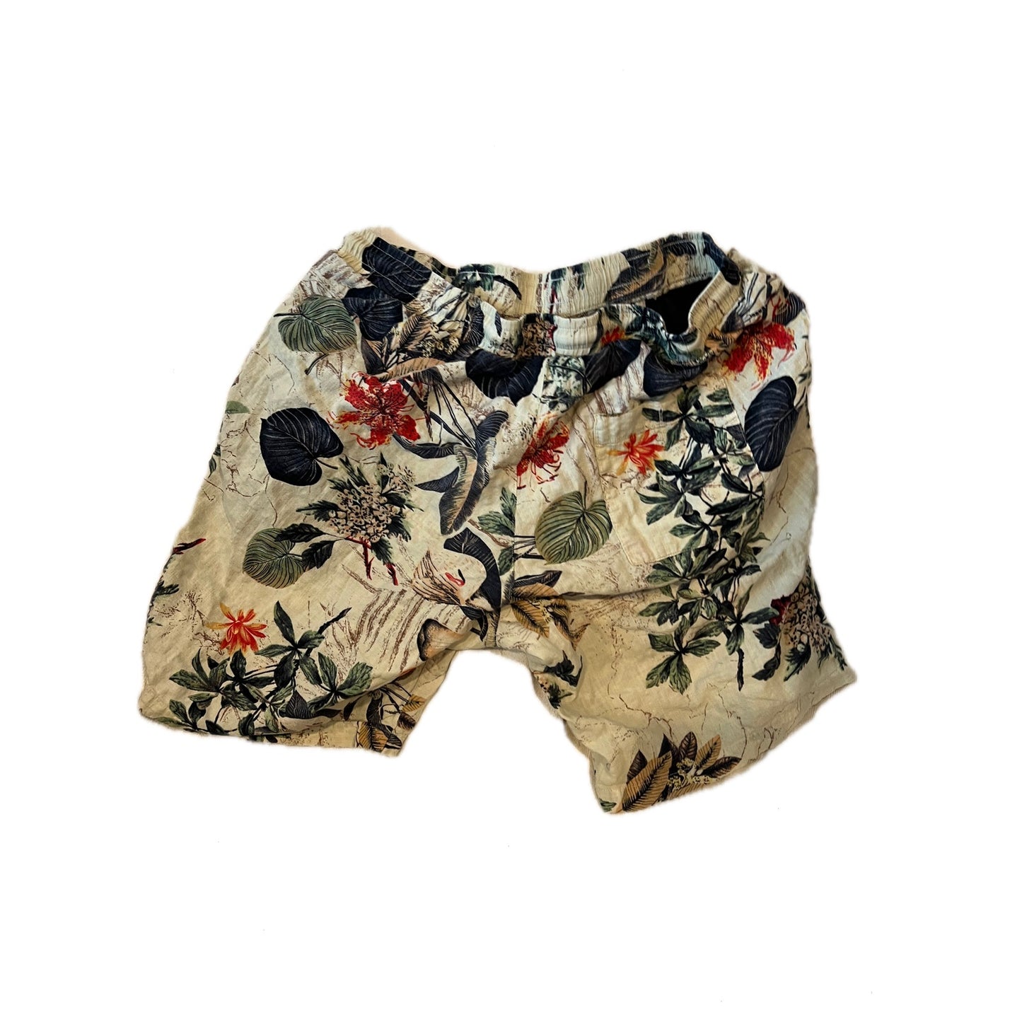 Joyaan Terry Cloth Casual Tropical Shorts Mens XL 6" Inseam