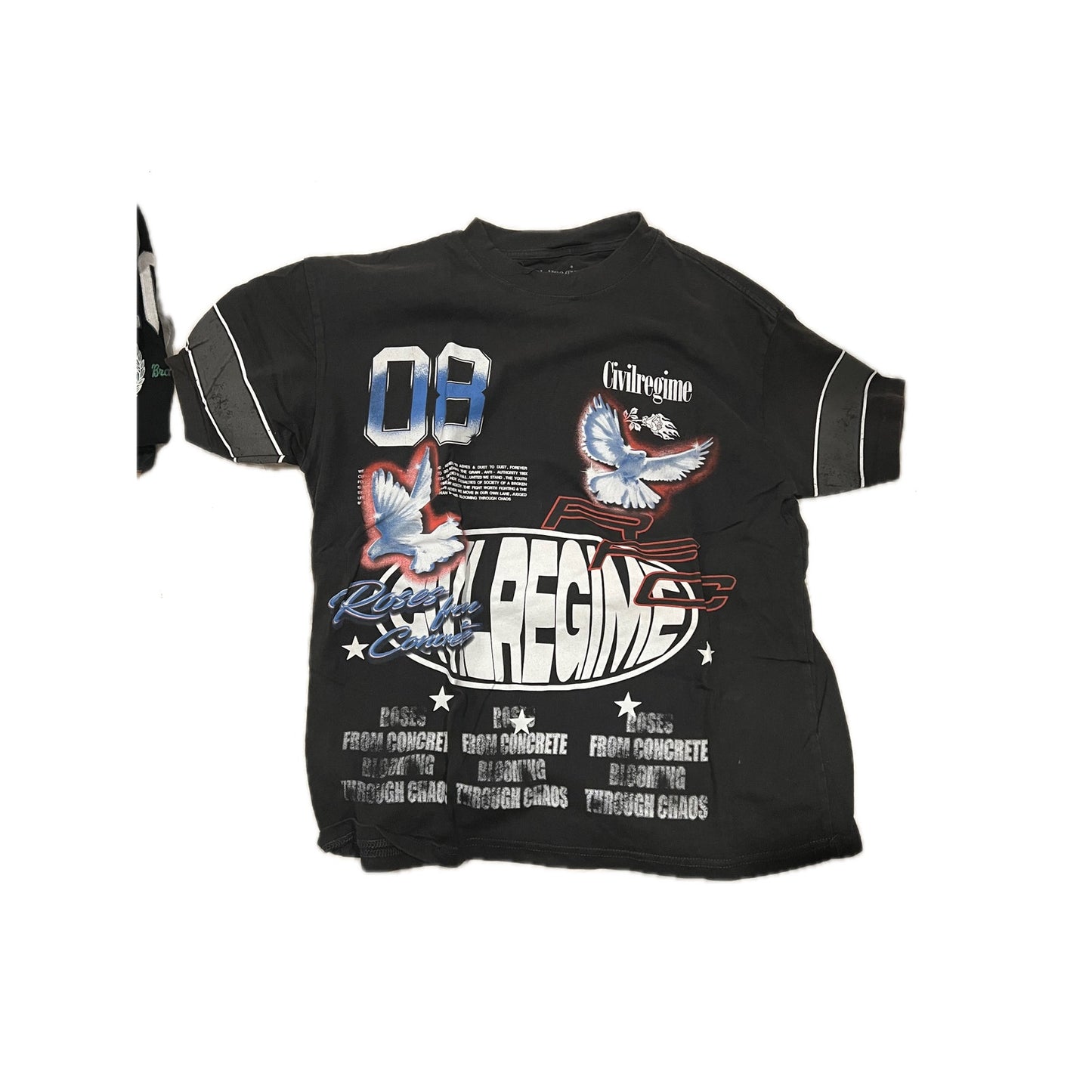 Civil Regime Roses from Concrete T-Shirt Mens Med