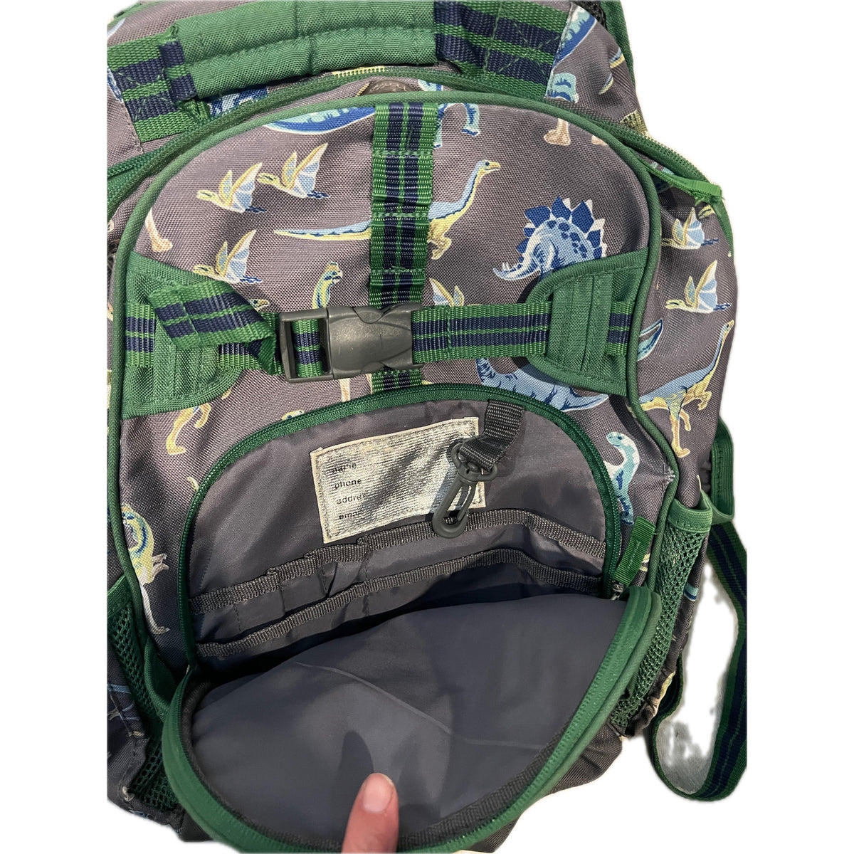 Pottery Barn Kids Boys’ Dinosaur Backpack Green/Navy