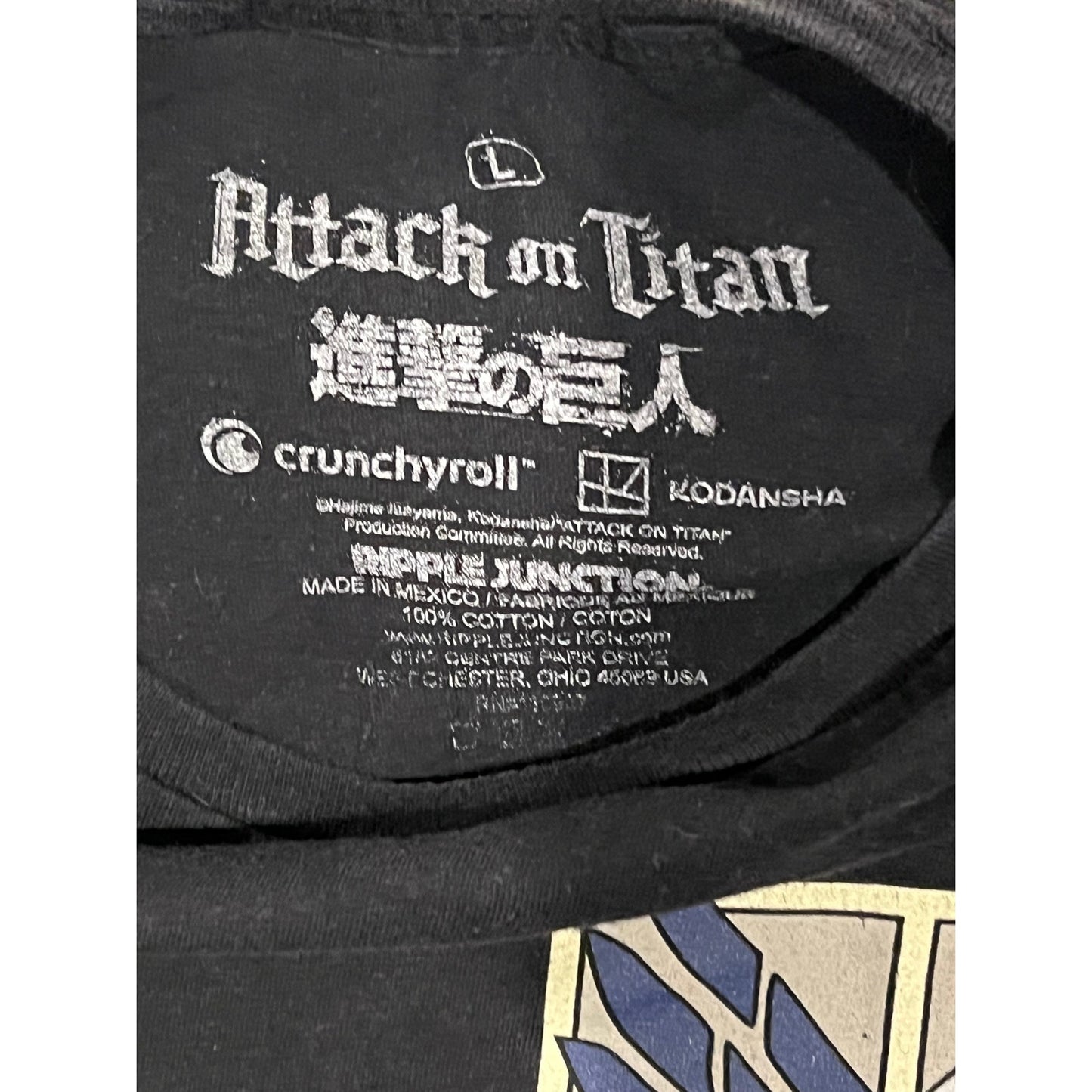 Attack on Titan Crunchy Roll Manga Mens T-Shirt Mens L