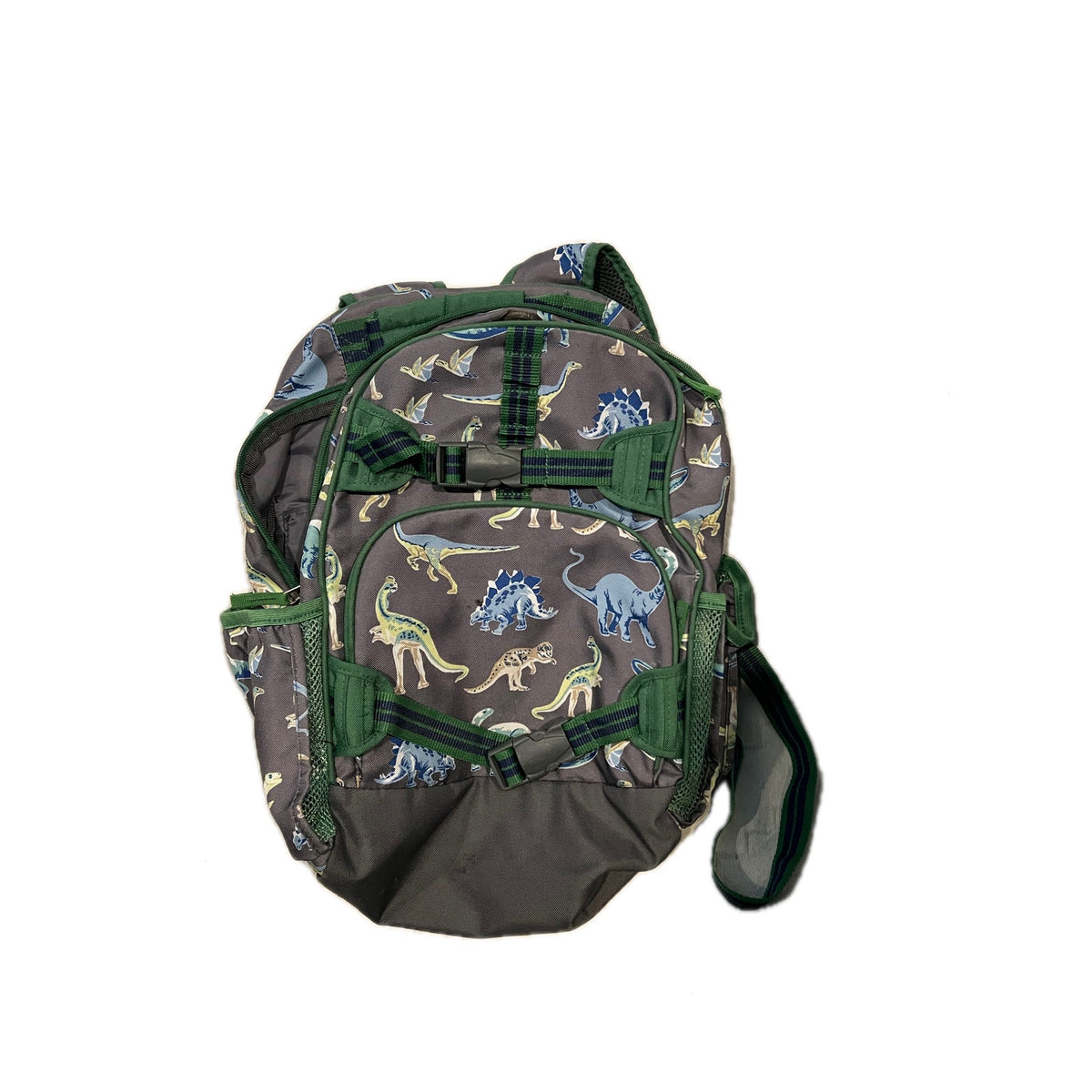 Pottery Barn Kids Boys’ Dinosaur Backpack Green/Navy