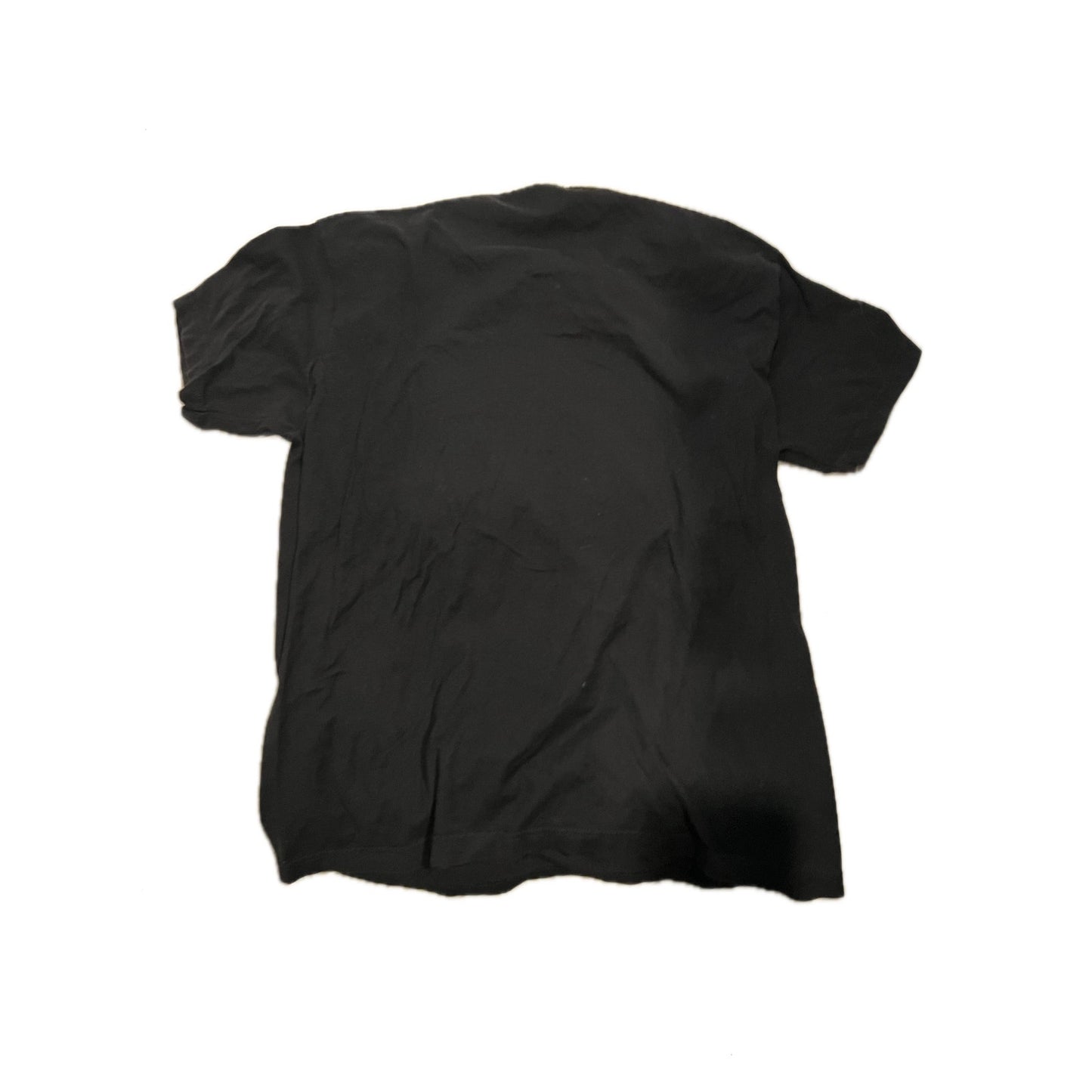 Six Flags Dorney Park Black T-Shirt Mens Large