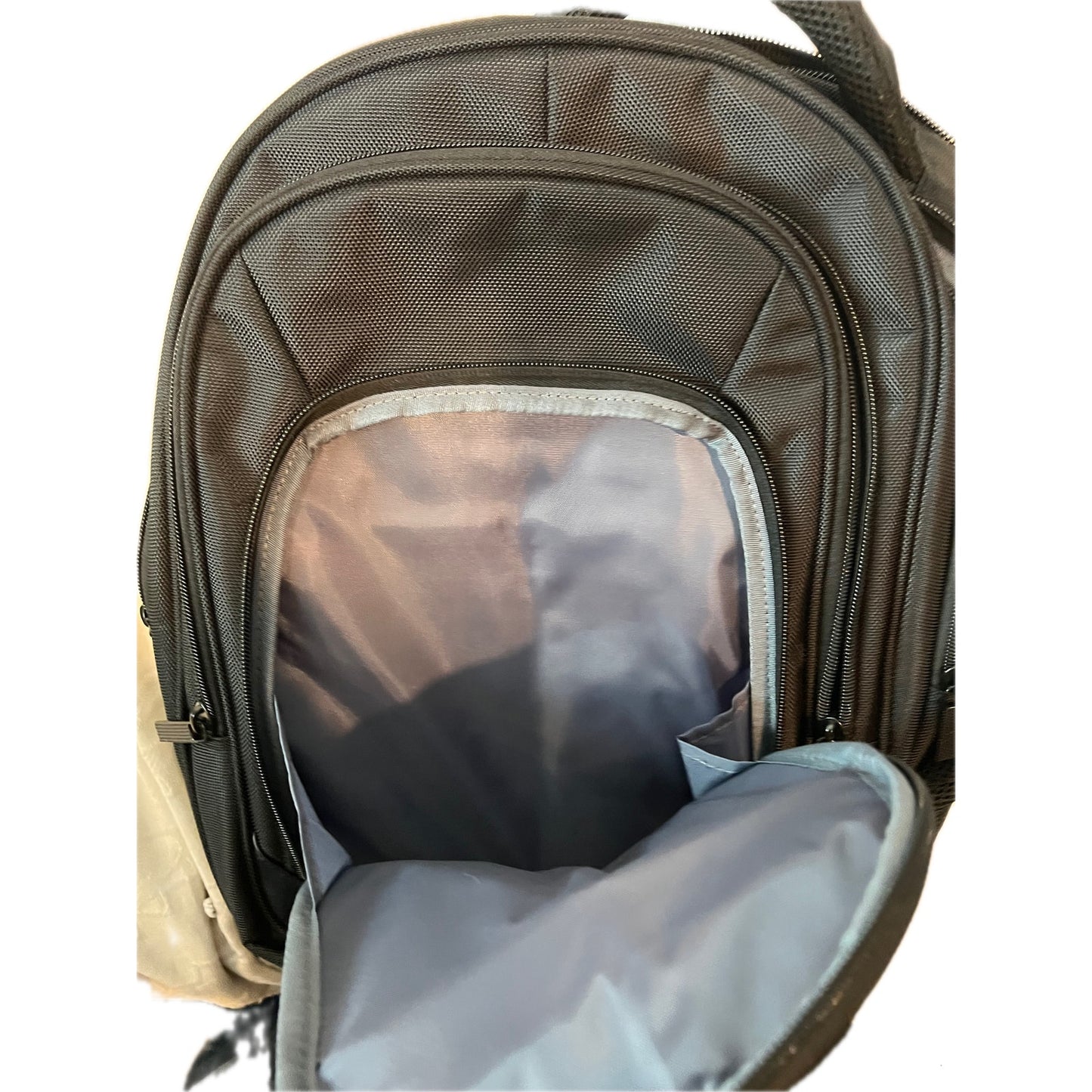 Perry Ellis Portfolio Padded Backpack