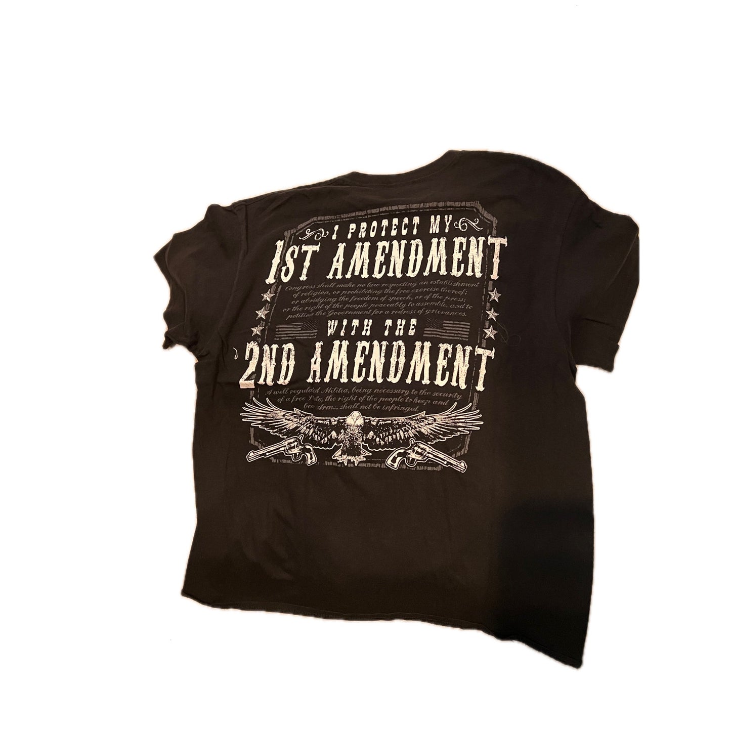 1st Amendment Protected by 2nd Amendment T-Shirt Mens L
