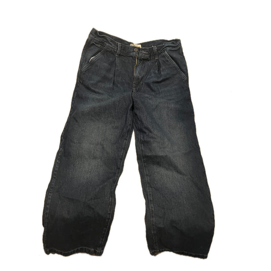 American Eagle True Colors Loose Jeans Blue Mens 34x34